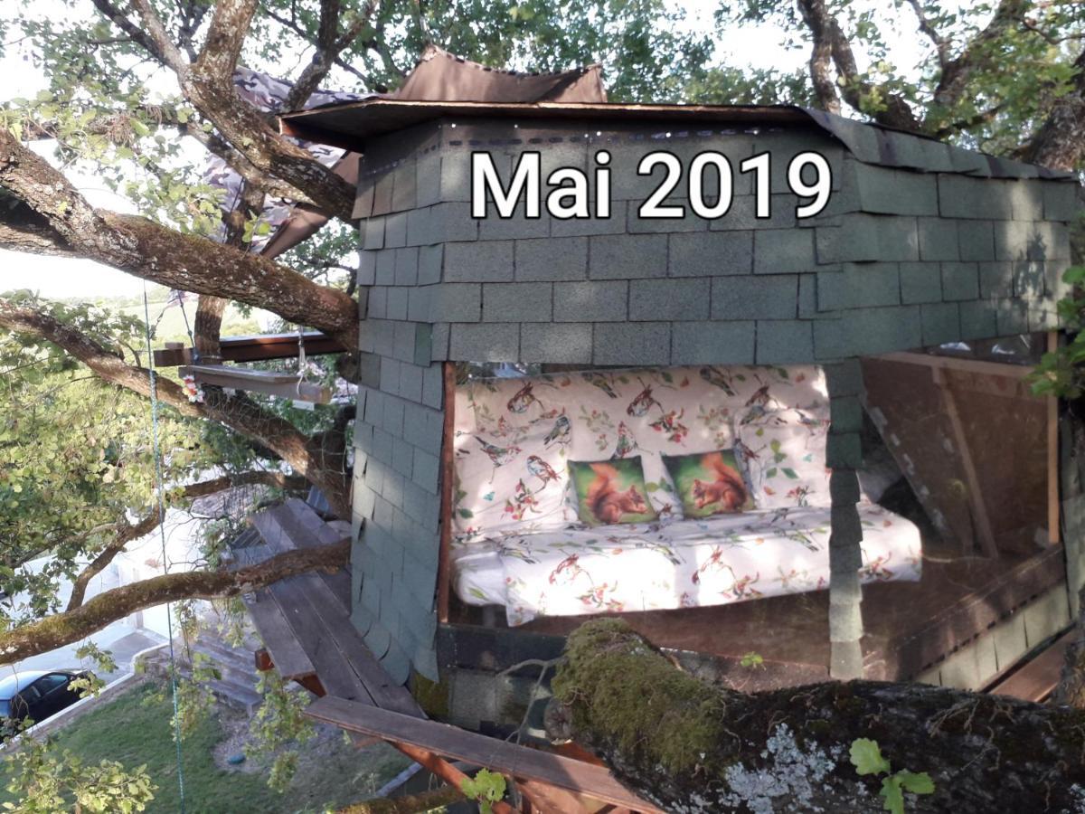 La Insolite Bed & Breakfast